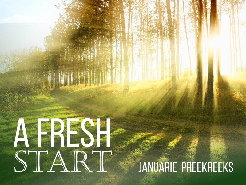 A Fresh Start - Week 4